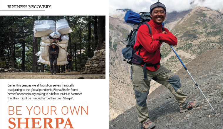 Be your own sherpa Platinum business magazine screenshot